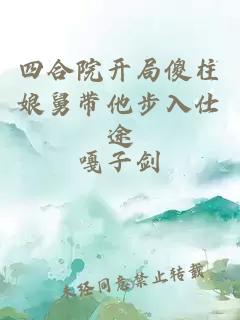 四合院开局傻柱娘舅带他步入仕途