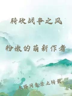 骑砍战争之风